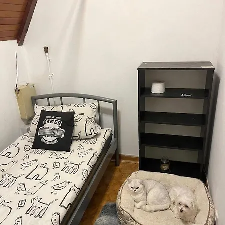 Hostal Like *